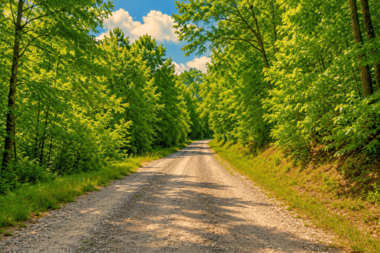 13 1.05 Acre Land for Sale in Arkansas Near to Lake