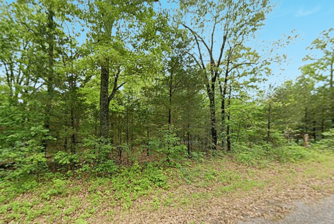 Wooded 0.47 Acre Near Crown Lake – Horseshoe Bend, AR! $145/Month!
