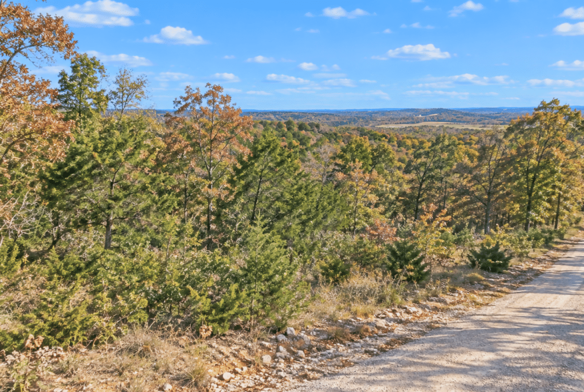 Wooded 0.47 Acre Near Crown Lake – Horseshoe Bend, AR! $145/Month!