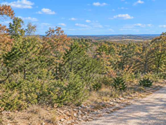 Wooded 0.47 Acre Near Crown Lake – Horseshoe Bend, AR! $145/Month!