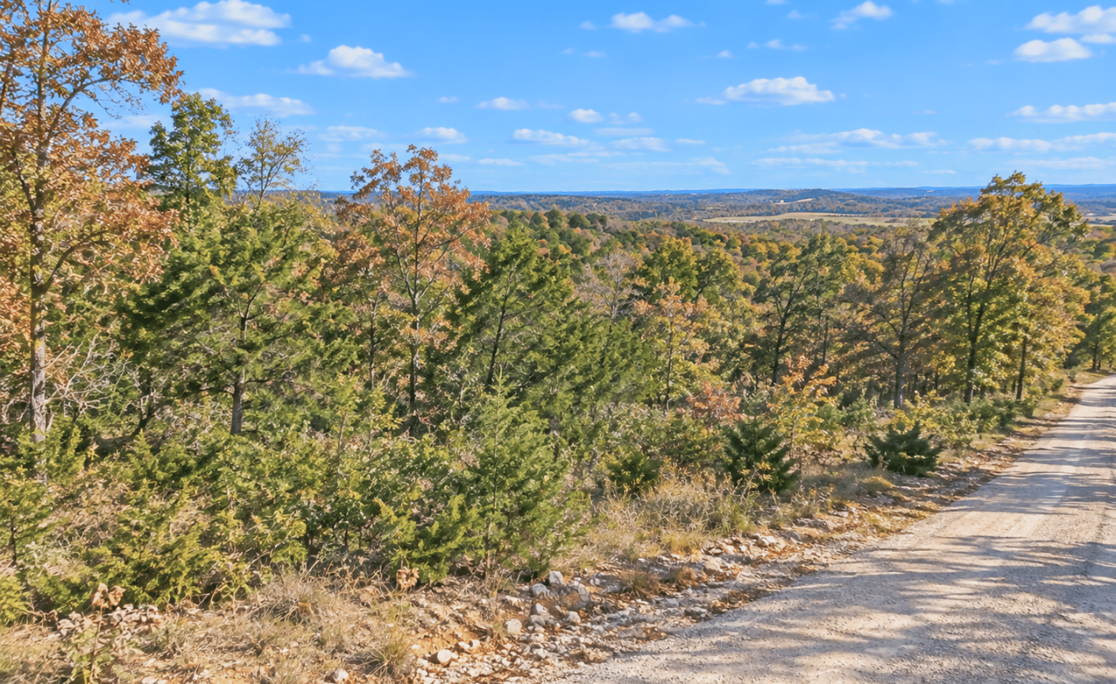 3 Wooded 0.47 Acre Near Crown Lake – Horseshoe Bend, AR! $145/Month!