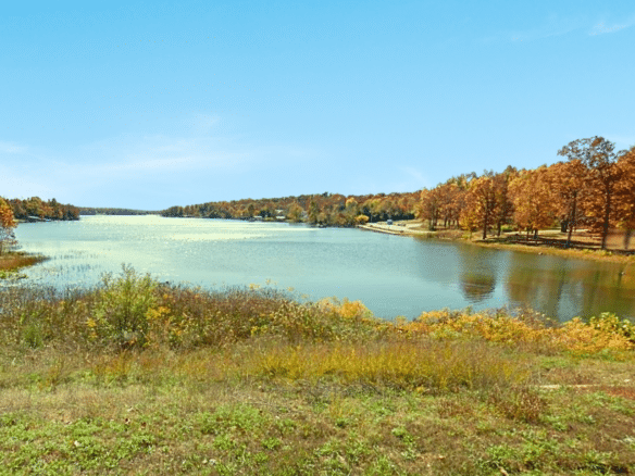 Wooded 0.47 Acre Near Crown Lake – Horseshoe Bend, AR! $145/Month!