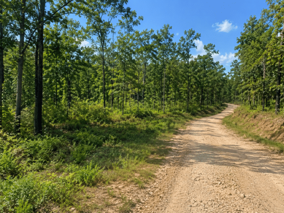1.05 Acre Land for Sale in Arkansas Near to Lake