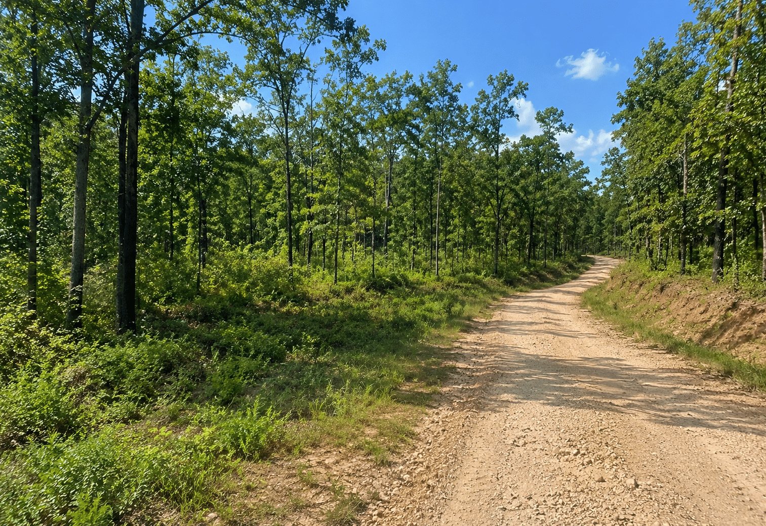 6 1.05 Acre Land for Sale in Arkansas Near to Lake