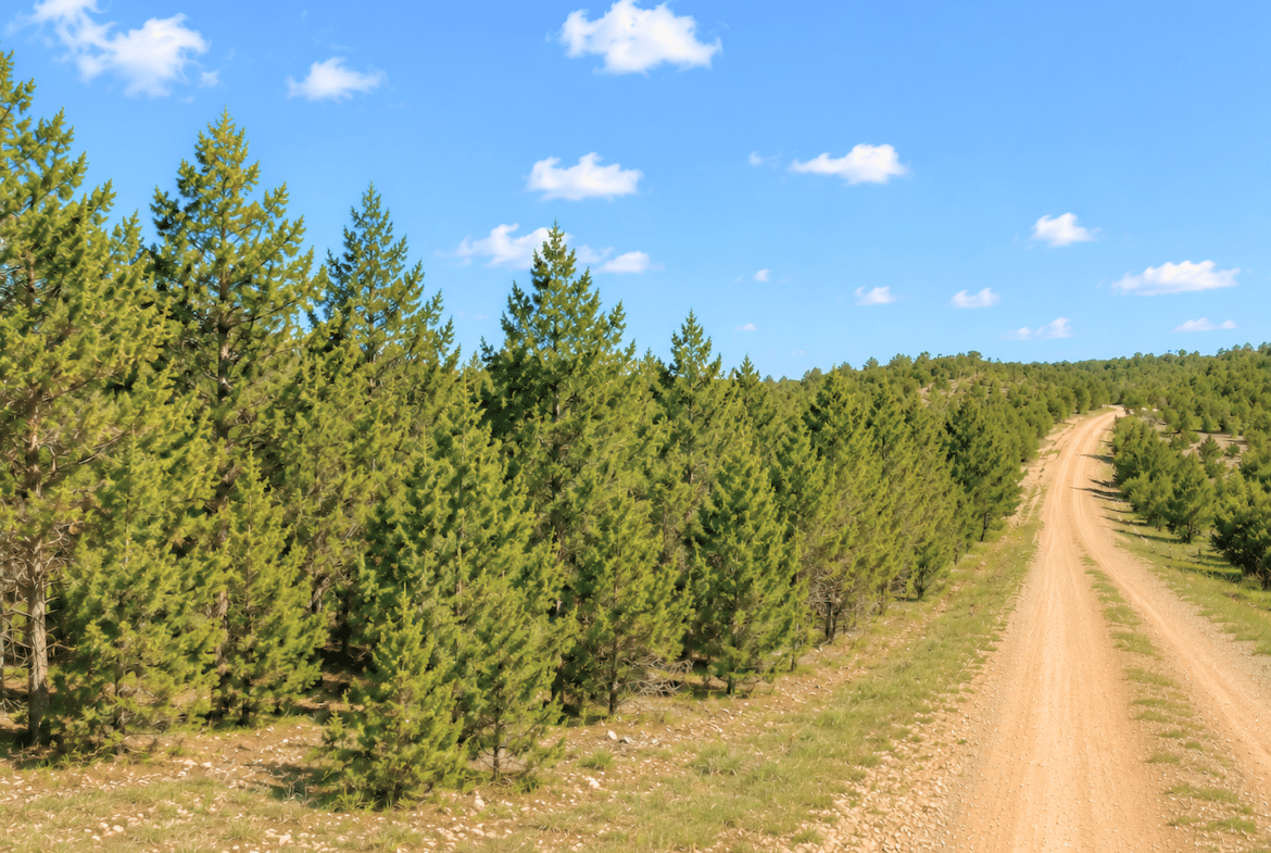 1.05 Acre Land for Sale in Arkansas Near to Lake