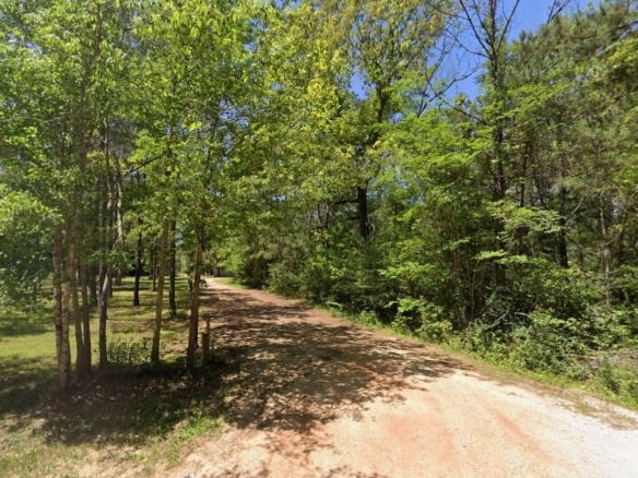 SOLD- 0.11 Acre to Build or Invest Near Wolf River, Poplarville, MS 93453