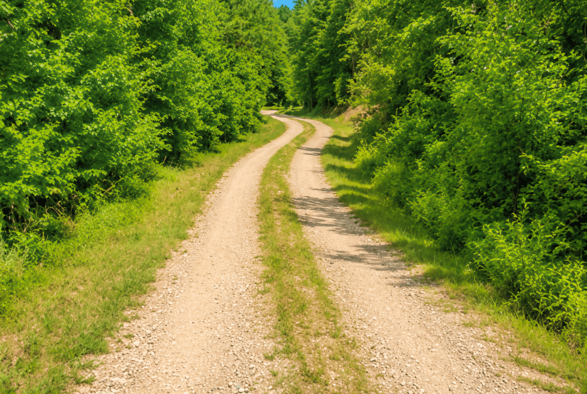 1.05 Acre Land for Sale in Arkansas Near to Lake