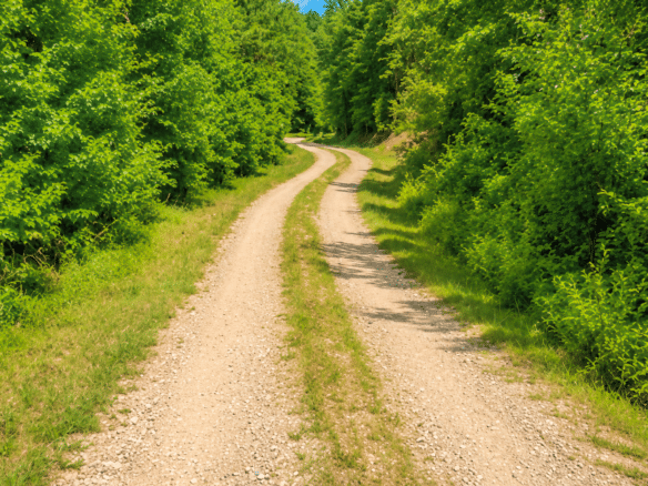1.05 Acre Land for Sale in Arkansas Near to Lake