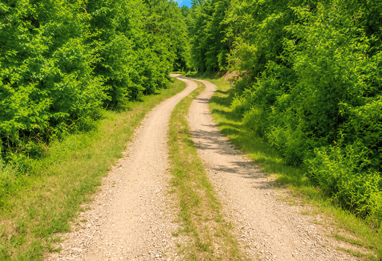 8 1.05 Acre Land for Sale in Arkansas Near to Lake