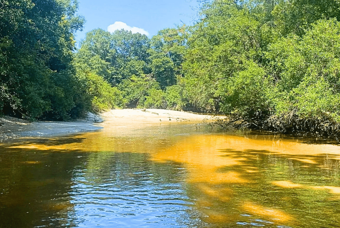 SOLD – 0.15 Acre to Build w/ Power Near Wolf River