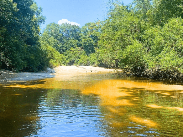 SOLD – 0.15 Acre to Build w/ Power Near Wolf River
