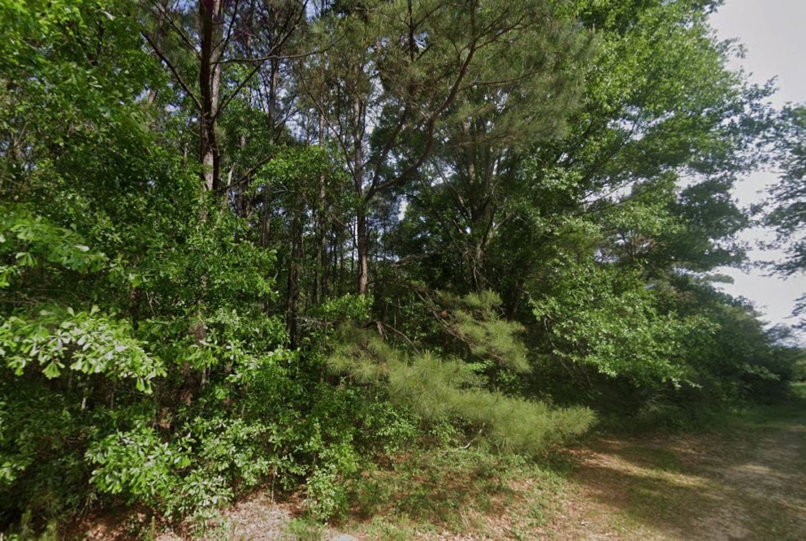 0.28 Acre Wooded Lot Near Lake!