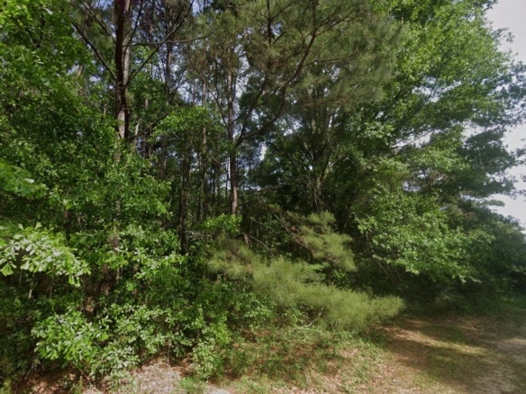 0.28 Acre Wooded Lot Near Lake!