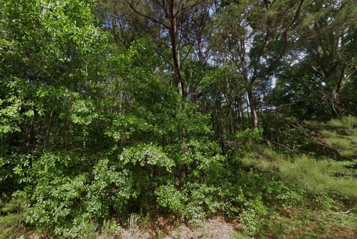 0.28 Acre Wooded Lot Near Lake!