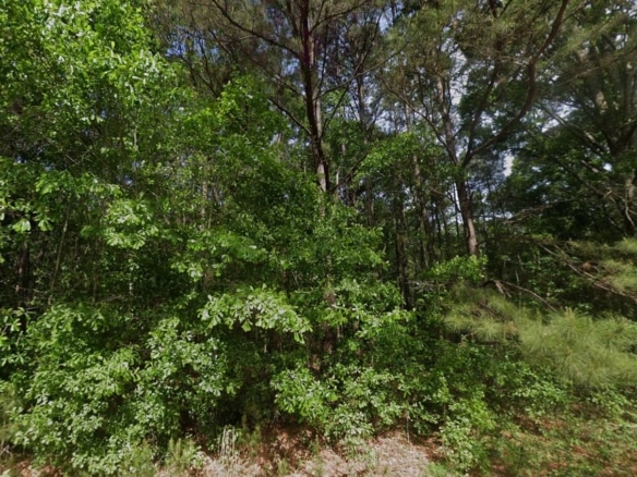 0.28 Acre Wooded Lot Near Lake!