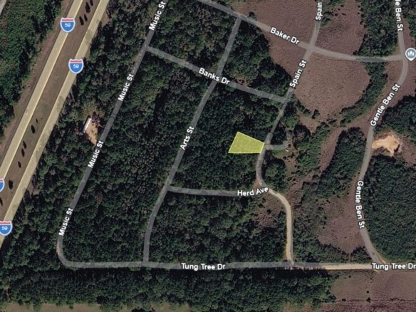 0.28 Acre Wooded Lot Near Lake!