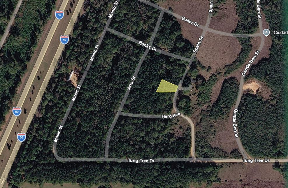 0.28 Acre Wooded Lot Near Lake!