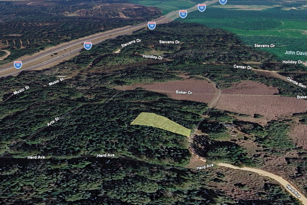 0.28 Acre Wooded Lot Near Lake!