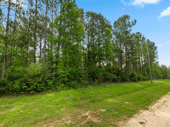 0.26-Acre Lot Near Happiness Lake!