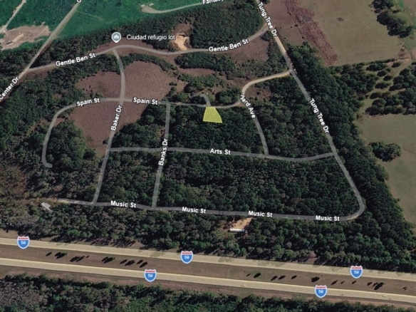 0.28 Acre Wooded Lot Near Lake!