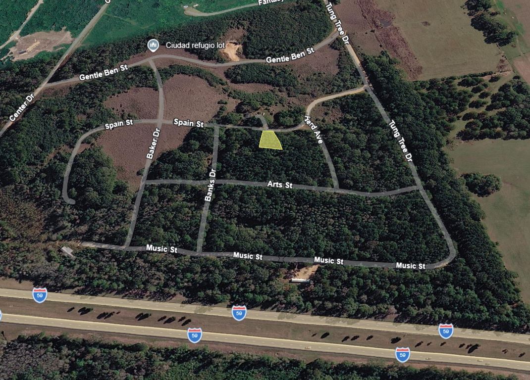0.28 Acre Wooded Lot Near Lake!