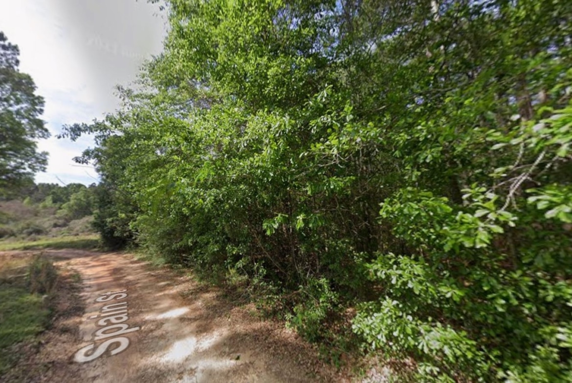0.28 Acre Wooded Lot Near Lake!