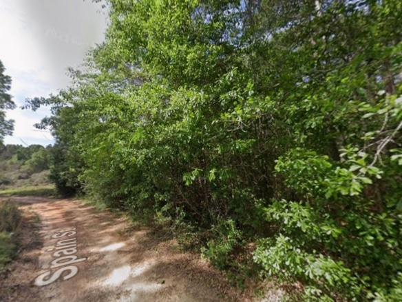 0.28 Acre Wooded Lot Near Lake!
