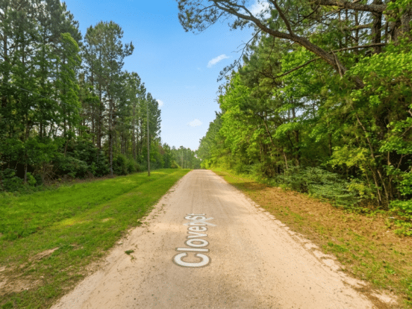 0.26-Acre Lot Near Happiness Lake!