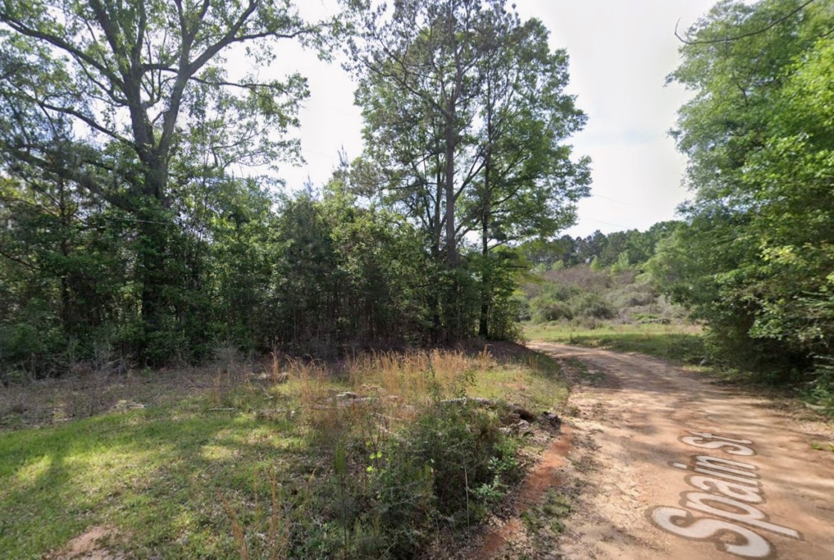 0.28 Acre Wooded Lot Near Lake!