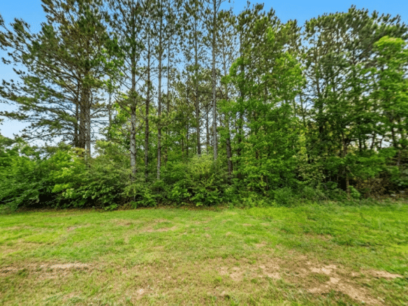 0.26-Acre Lot Near Happiness Lake!