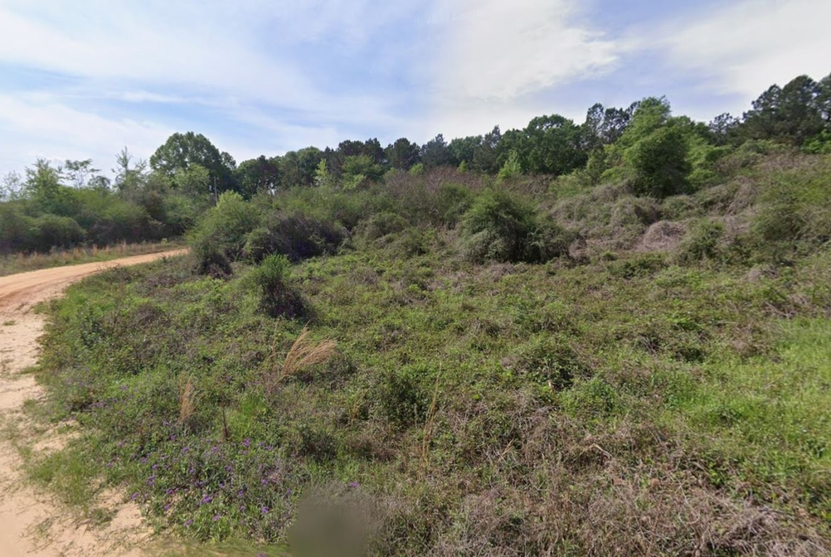 0.28 Acre Wooded Lot Near Lake!