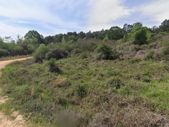 0.28 Acre Wooded Lot Near Lake!