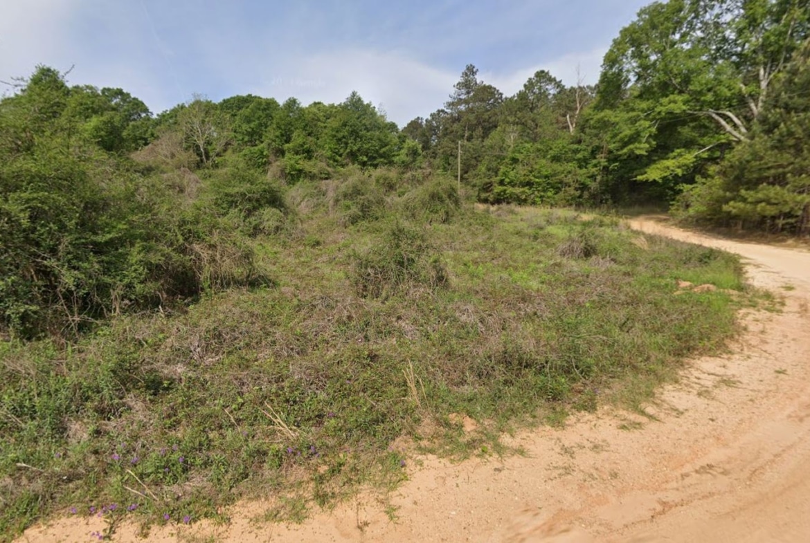 0.28 Acre Wooded Lot Near Lake!