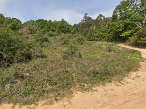 0.28 Acre Wooded Lot Near Lake!