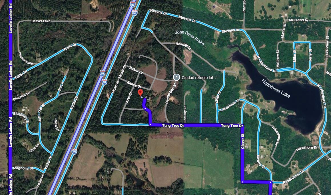 0.28 Acre Wooded Lot Near Lake!