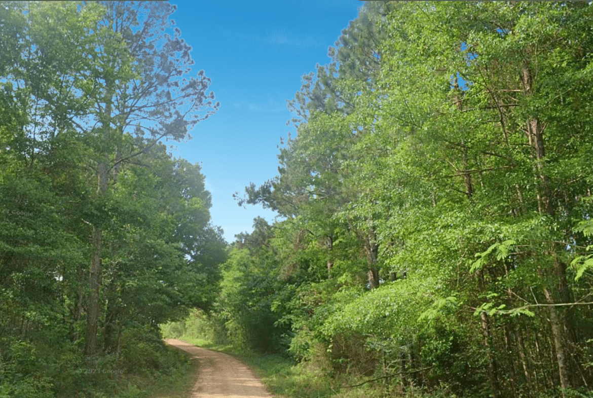 0.21-Acre Lot with Happiness Lake Views!