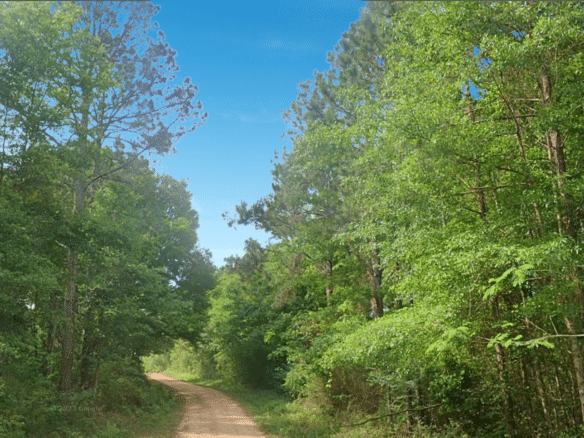 0.21-Acre Lot with Happiness Lake Views!
