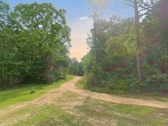 0.21-Acre Lot with Happiness Lake Views!
