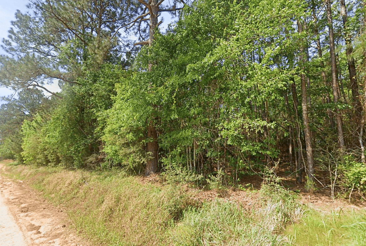 0.21-Acre Lot with Happiness Lake Views!