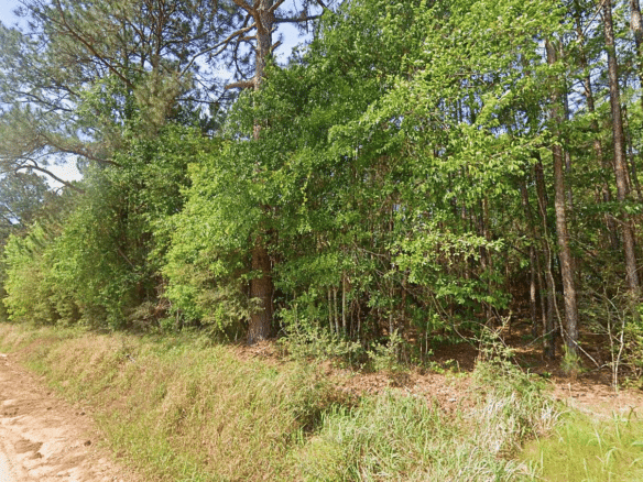 0.21-Acre Lot with Happiness Lake Views!
