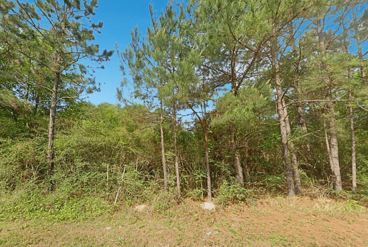 0.21-Acre Lot with Happiness Lake Views!
