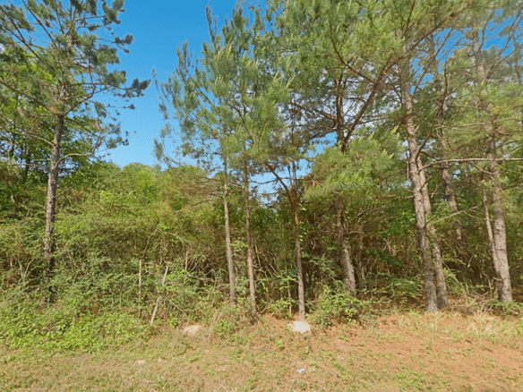 0.21-Acre Lot with Happiness Lake Views!