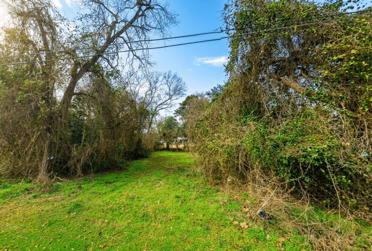 Gemini_Generated_Image_q15imfq15imfq15i