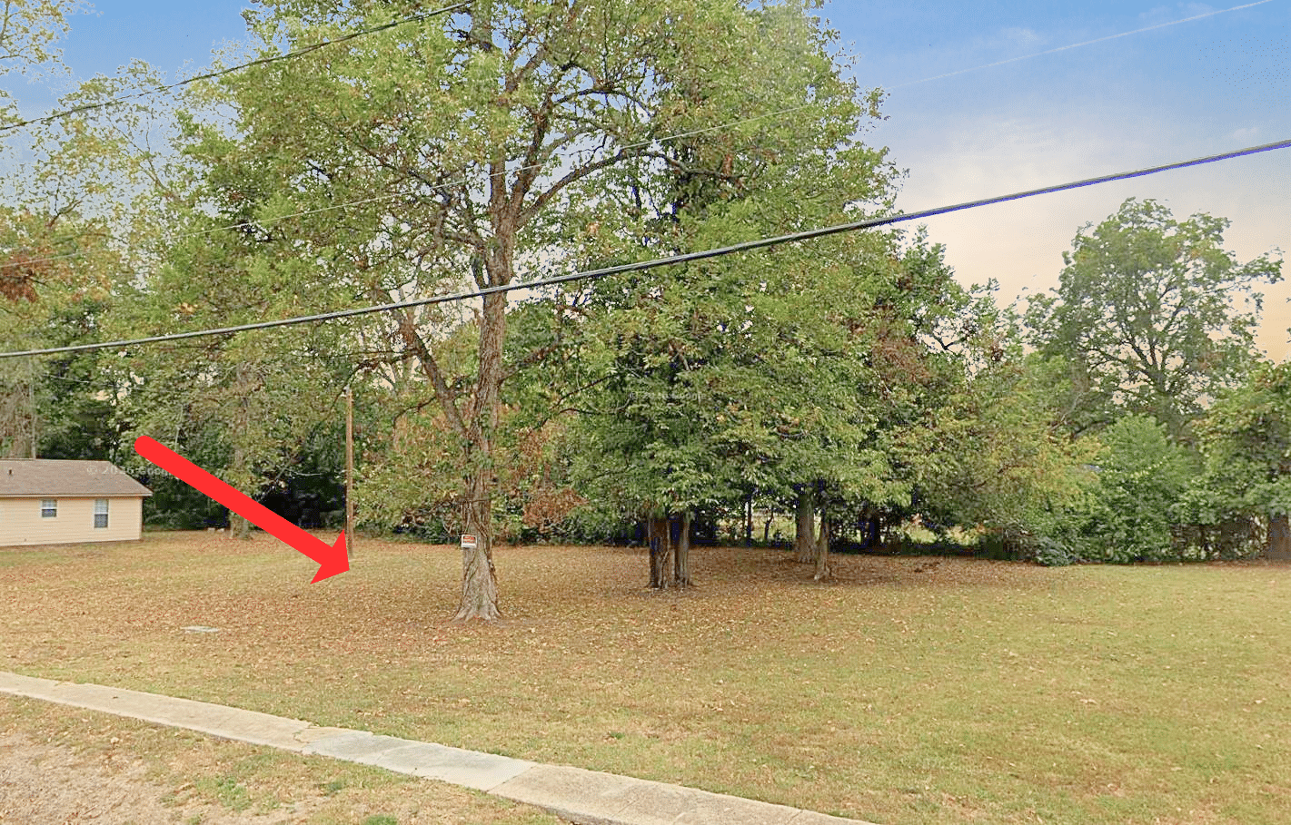 Untitled design (31)