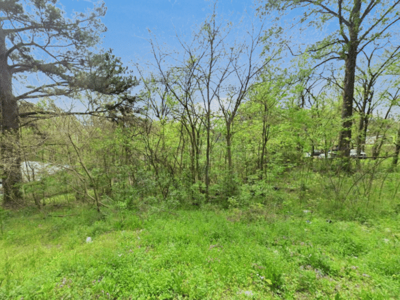 Buildable Residential Lot With Utilities Available!