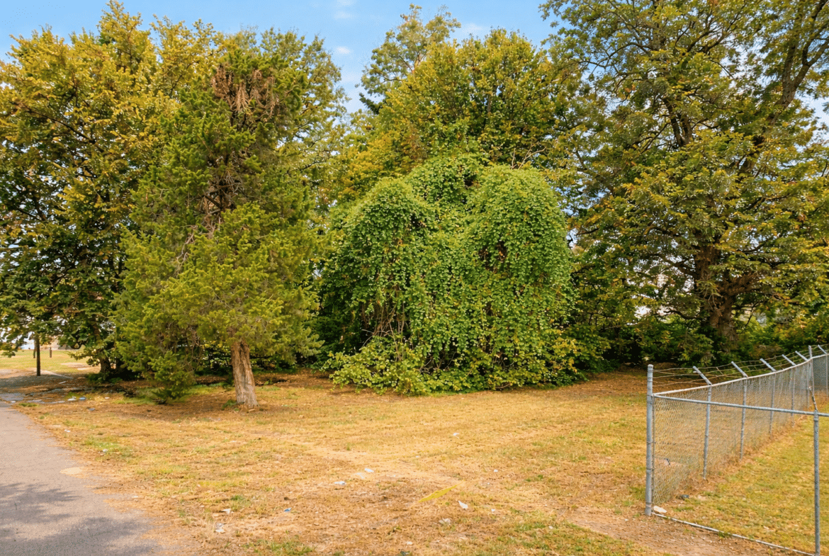 Small Residential Lot Perfect for Home Site or Investment!