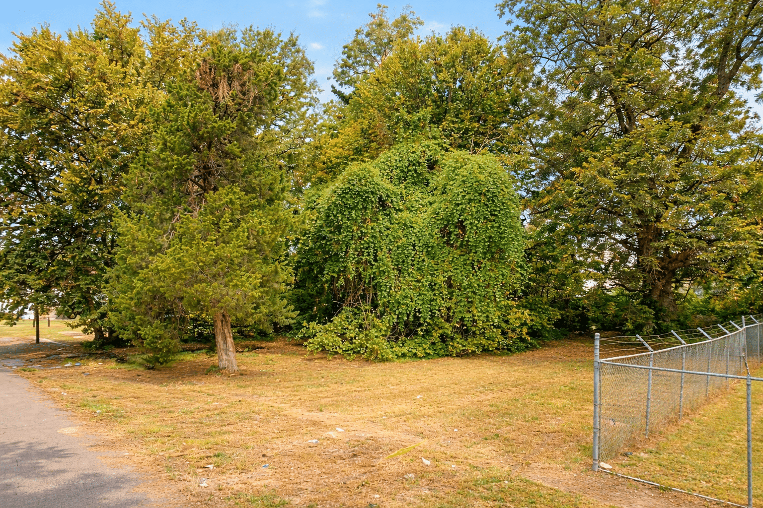 d6fb3257-f492-40ee-b3f2-6476751b8534