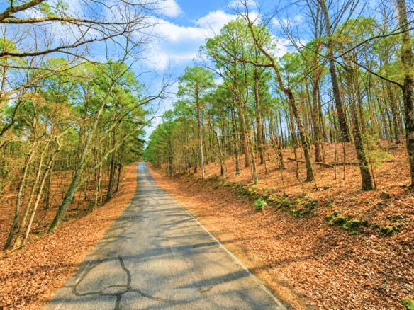 0.33-Acre Land for Sale in Ozarks, Arkansas