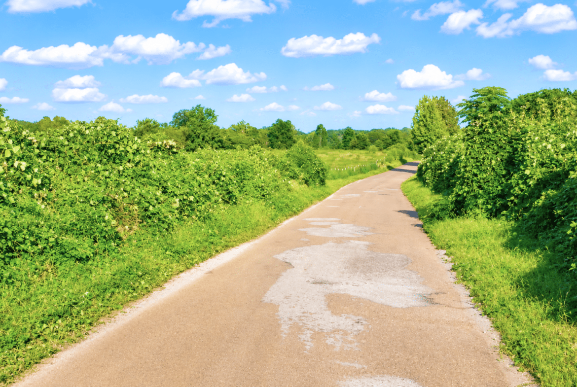 0.10 Acre Unrestricted Lot!