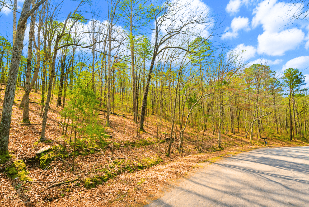 0.33-Acre Land for Sale in Ozarks, Arkansas